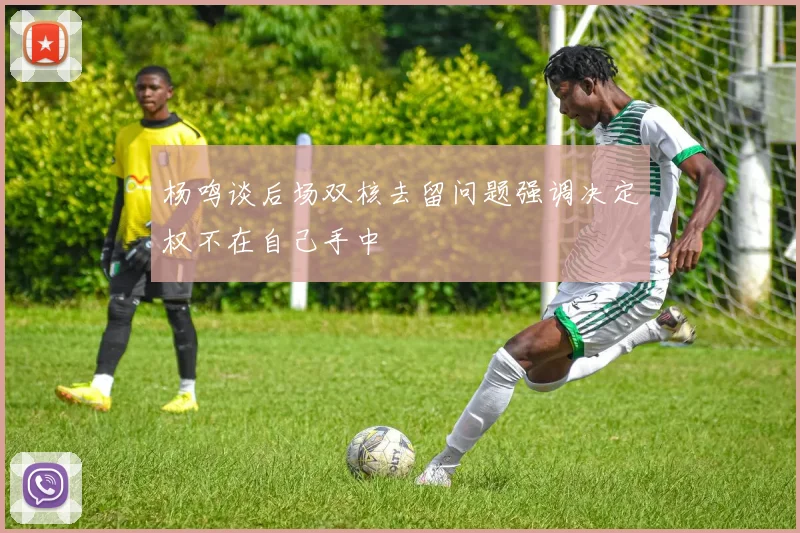 杨鸣谈后场双核去留问题强调决定权不在自己手中