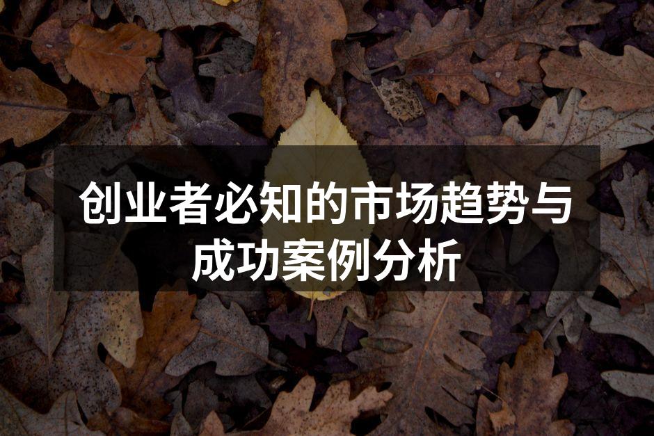 创业者必知的市场趋势与成功案例分析