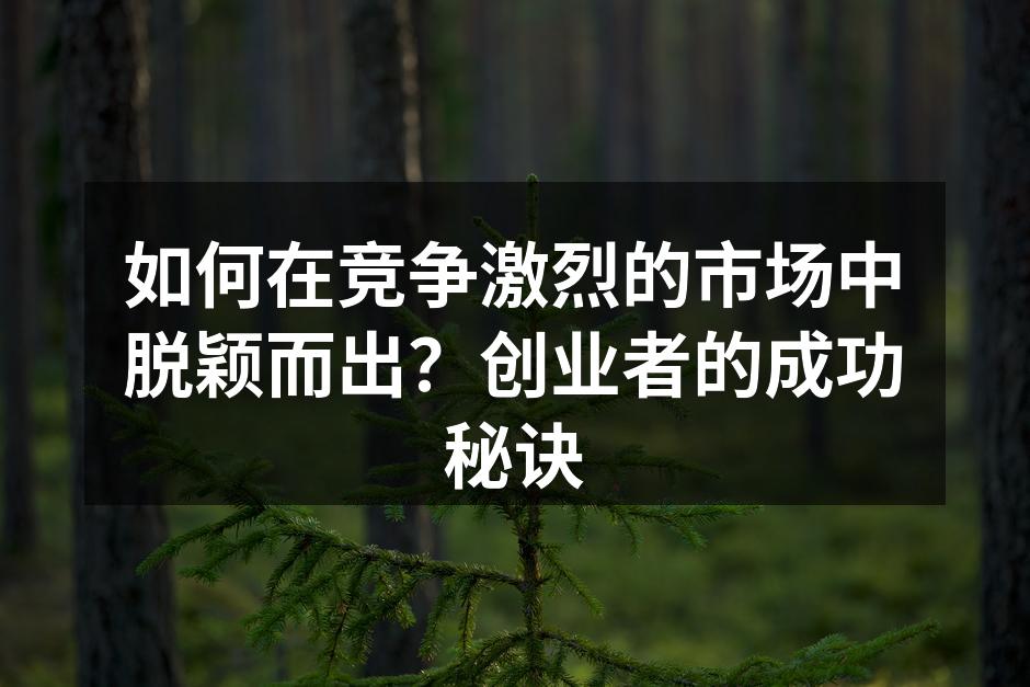 如何在竞争激烈的市场中脱颖而出？创业者的成功秘诀